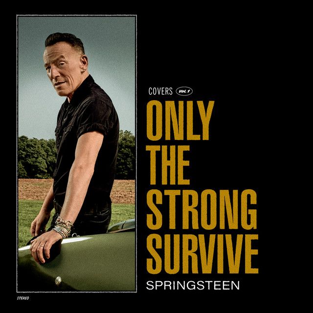 Only the Strong Survive, album cover