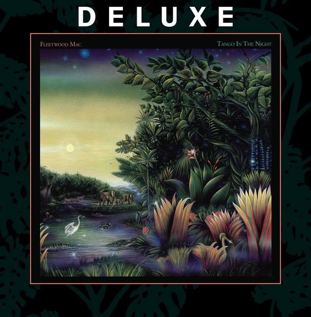 Tango in the Night, album cover