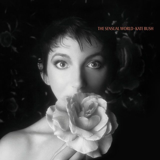 The Sensual World, album cover