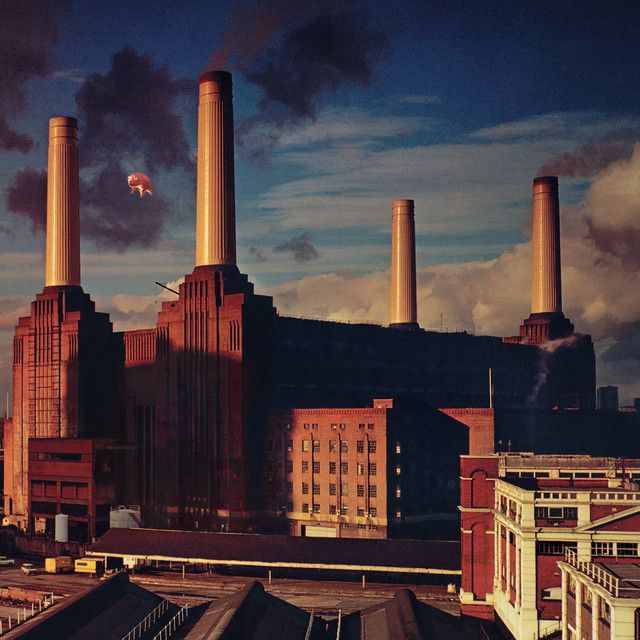 Animals, album cover